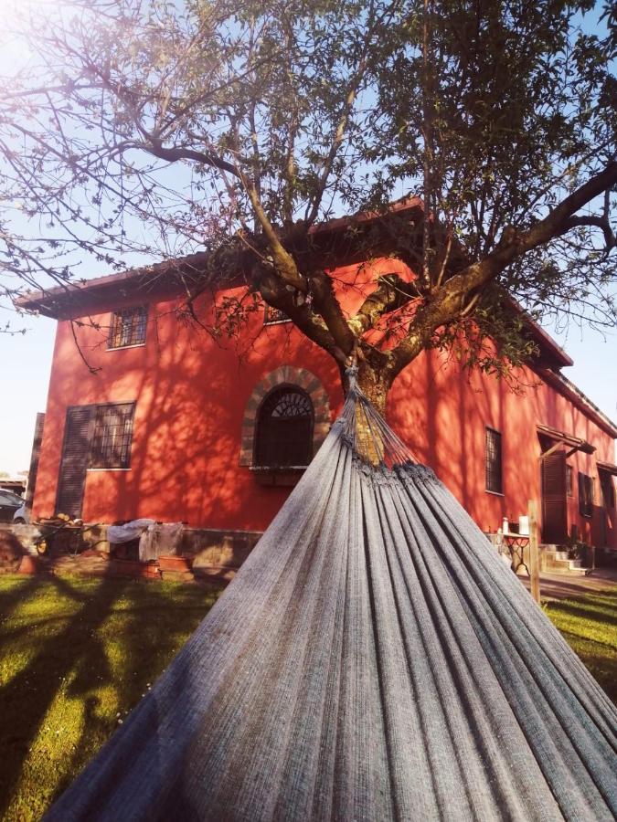 Alloggio Turistico Dakota Manziana Esterno foto